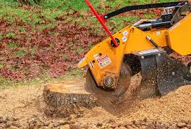 How Our Tree Care Process Works  in  Fairview, NY